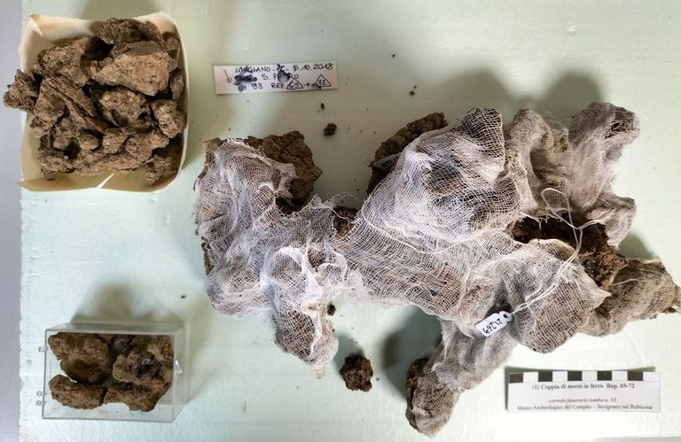 coppia di morsi in ferro, fine VII secolo a.C., prima del restauro